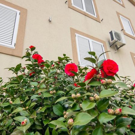 Apartments Savic Херцег Нови Екстериор снимка