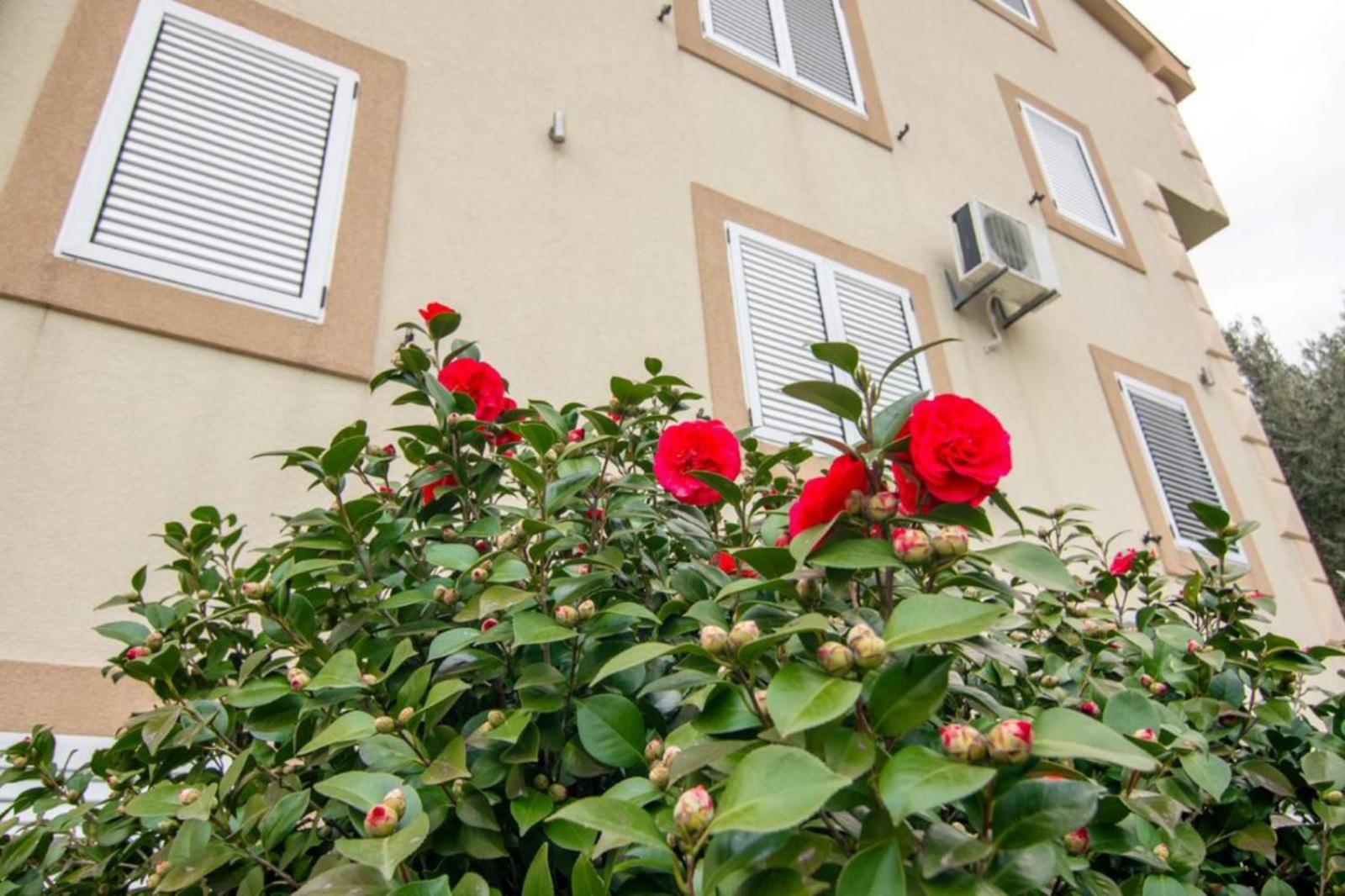 Apartments Savic Херцег Нови Екстериор снимка
