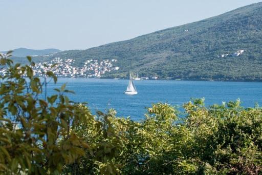 Apartments Savic Херцег Нови Екстериор снимка